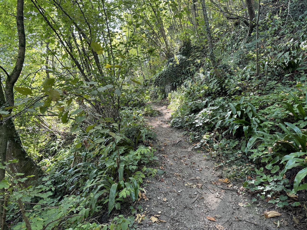 サモボル城の登山道