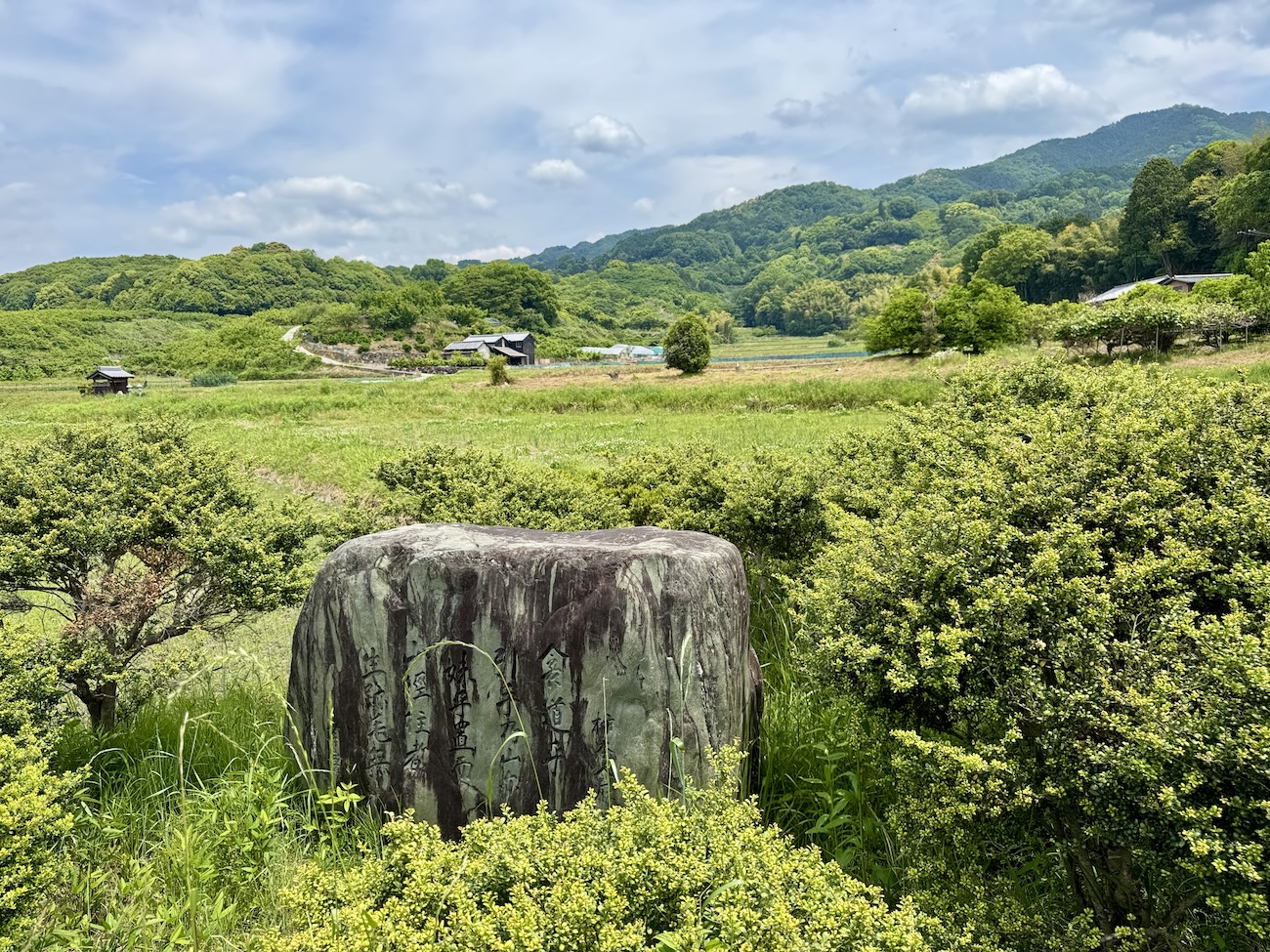 山の辺の道